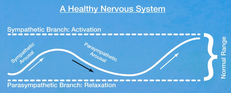 A healthy Nervous System